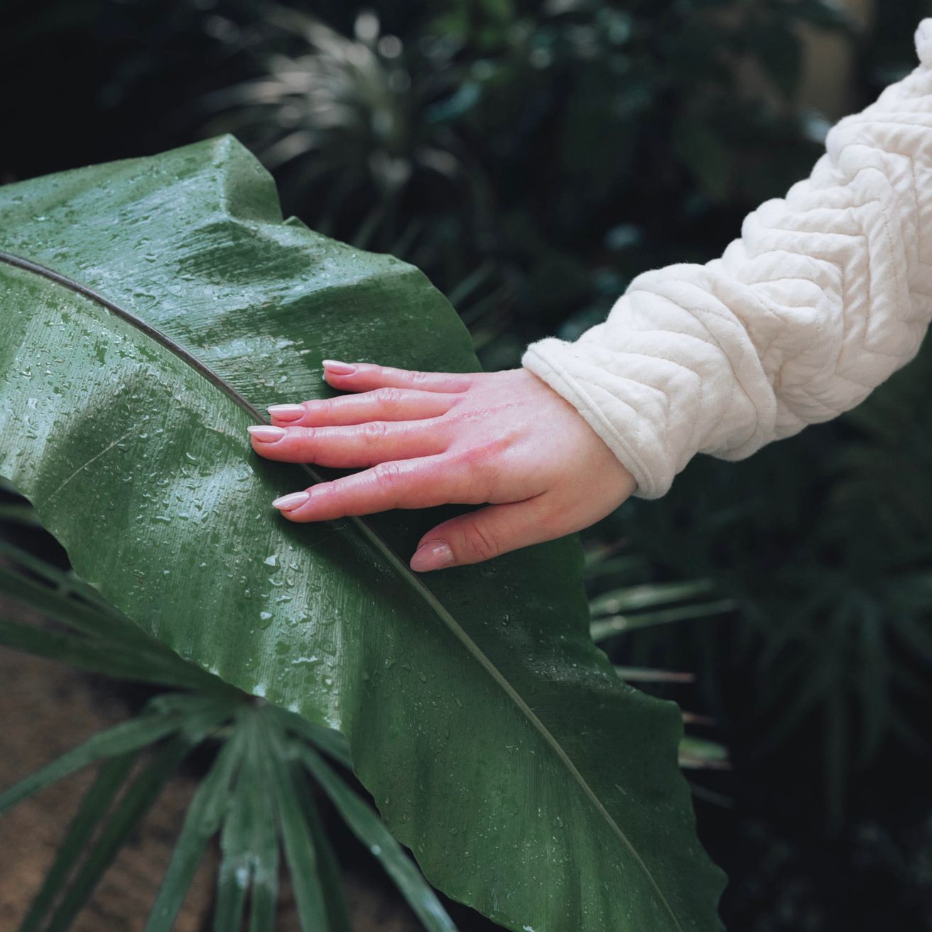 Organické materiály od portugalského výrobce - vyráběné s láskou k přírodě a udržitelnosti.